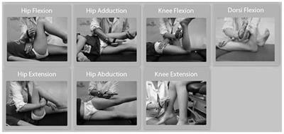 Development of Lower Extremity Strength in Ambulatory Children With Bilateral Spastic Cerebral Palsy in Comparison With Typically Developing Controls Using Absolute and Normalized to Body Weight Force Values